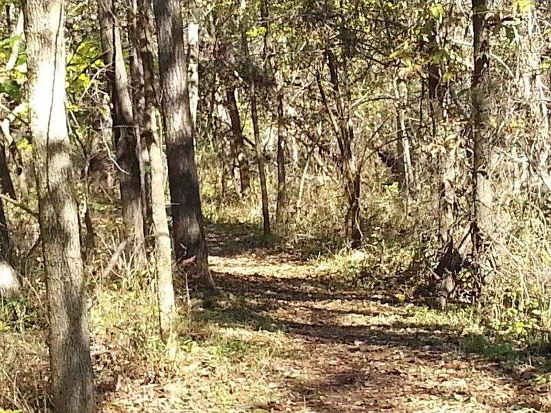 Trails Through Missouri’s Most Scenic Terrain