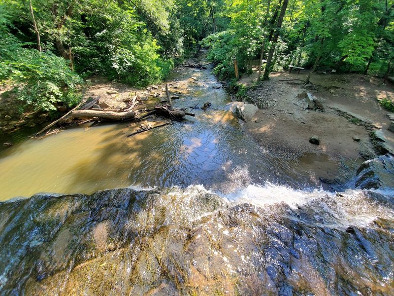 The Ravine, The Roots, And The Erosion Problem