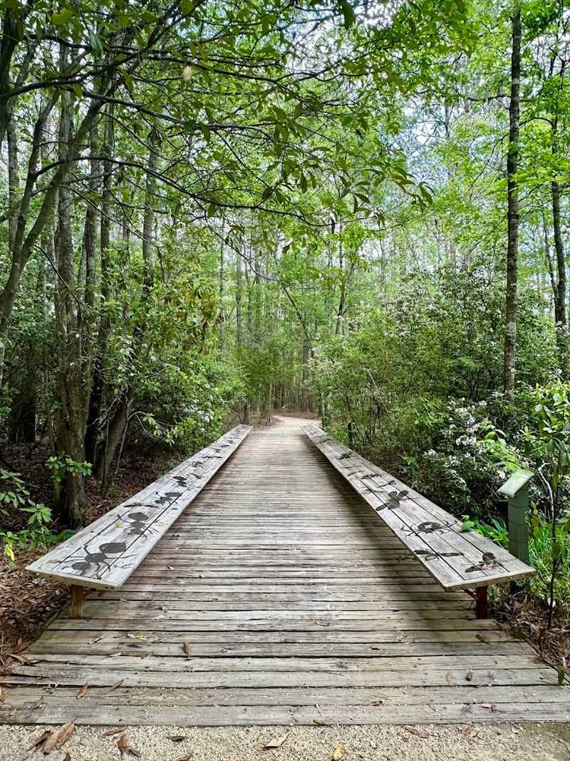 Three Miles Of Trails Worth Every Step