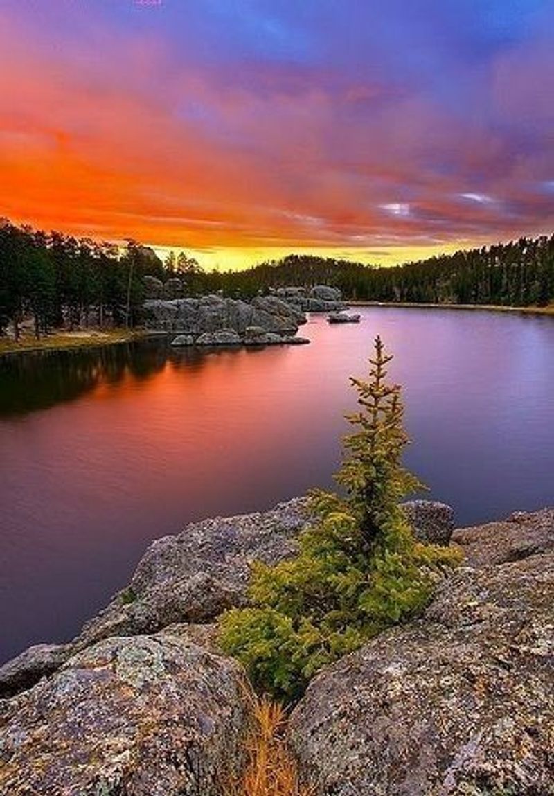 Sylvan Lake Views