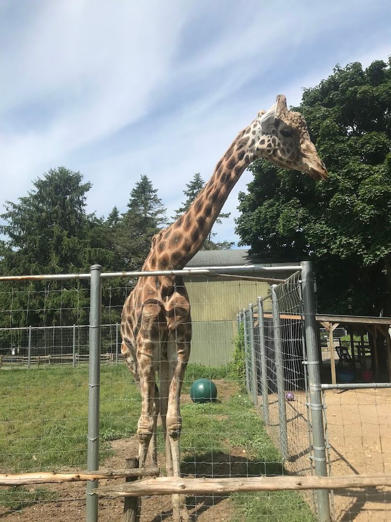 Long Island Game Farm