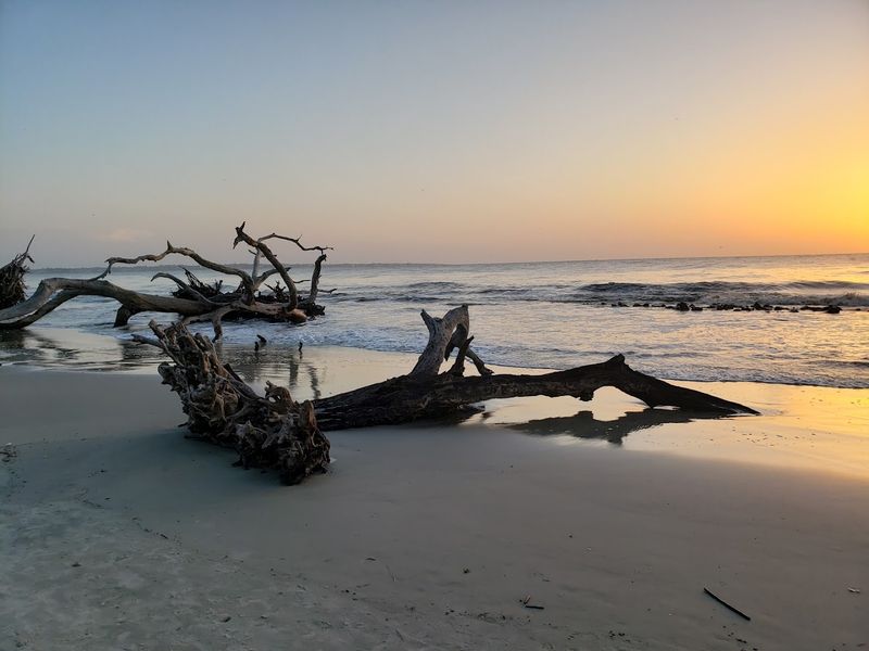 Stargazing Opportunities Along The Coast