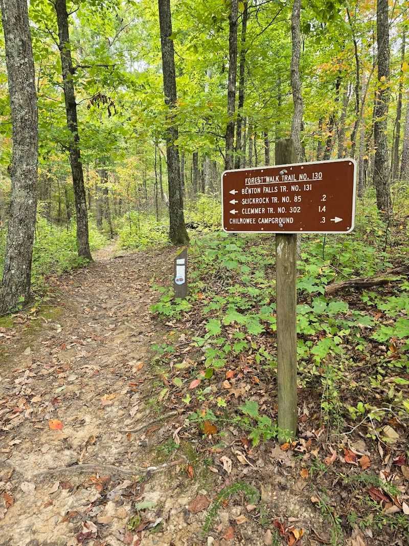 A Trail That Welcomes Nearly Every Type Of Hiker