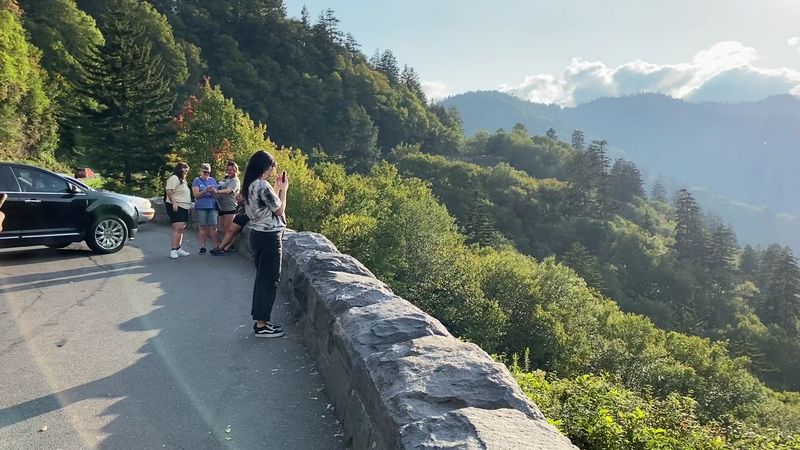 Ben Morton Overlook, Newfound Gap Road, Great Smoky Mountains