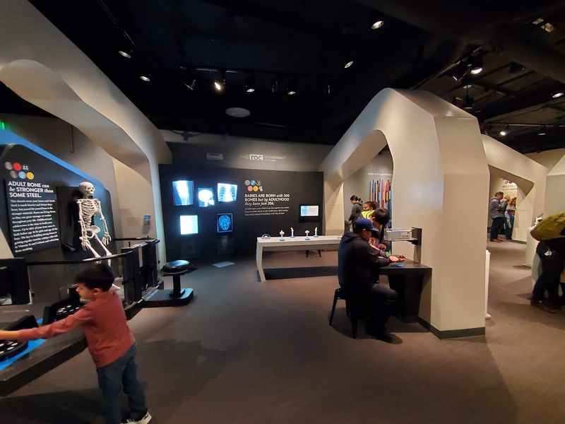 Inside Out Makes Human Anatomy Interactive
