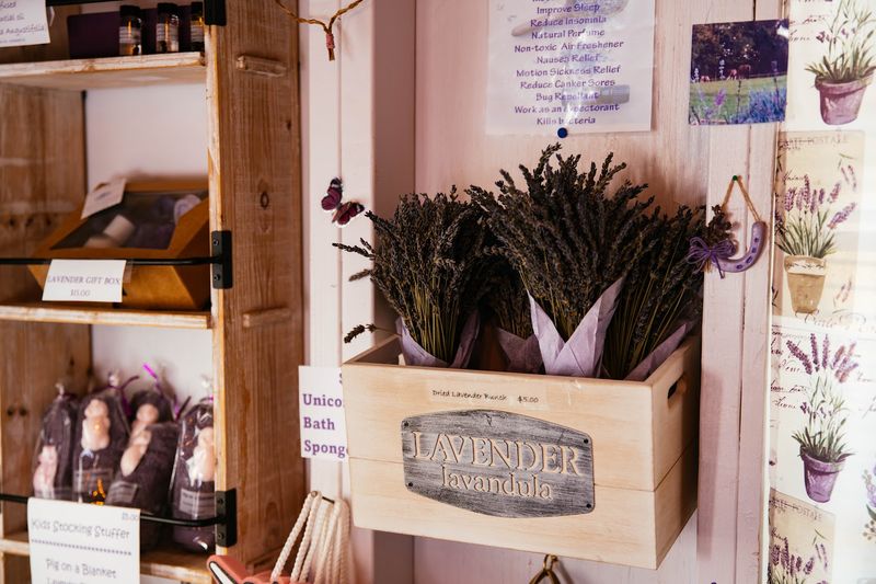 Lavender Honey From An On-Site Bee Apiary