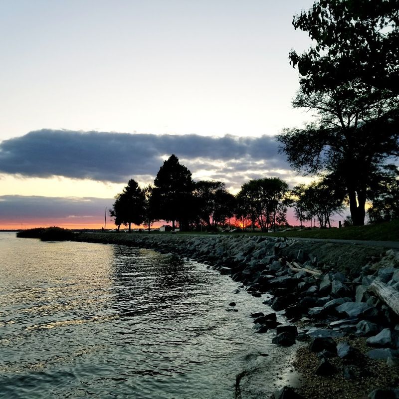 Battery Park And The River View