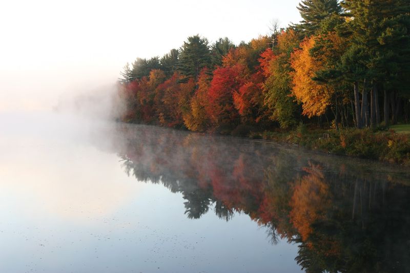Environmental Impacts On Lake Ecosystem