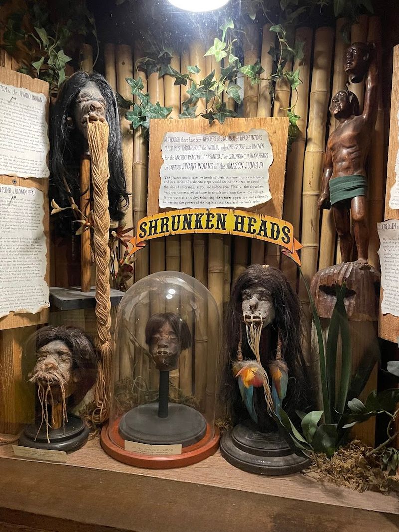 Behind The Scenes Of Exhibit Creation