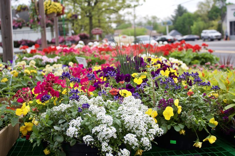 Tips For Selecting The Freshest Items At Stands