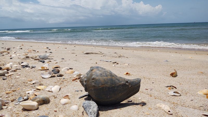 Cape Lookout
