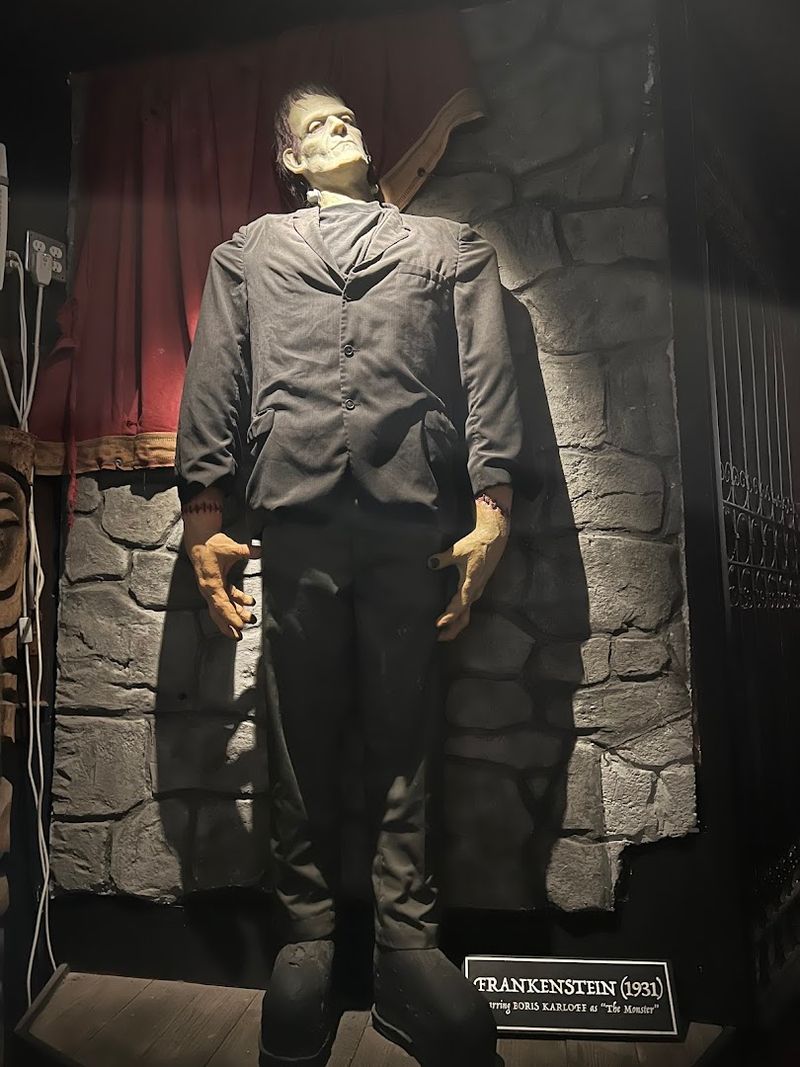 Educational Insights Into Zombie Mythology