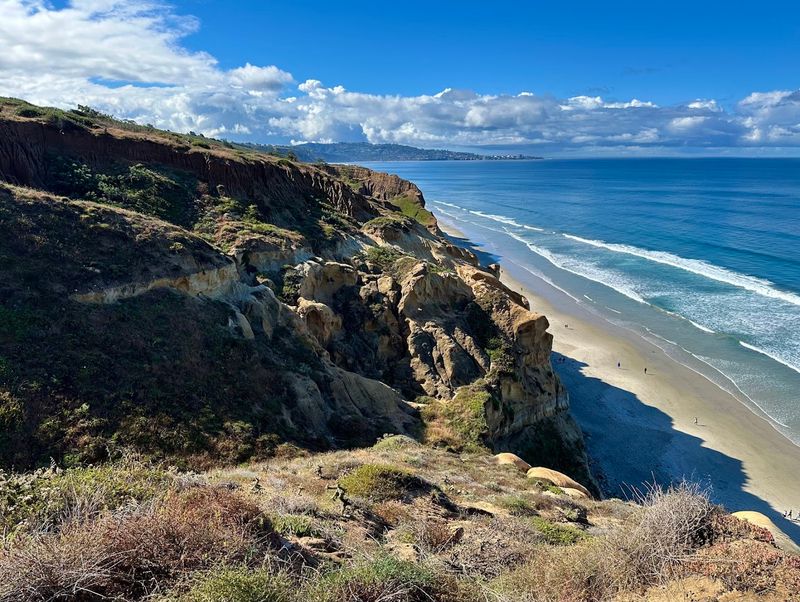 Torrey Pines State Natural Reserve