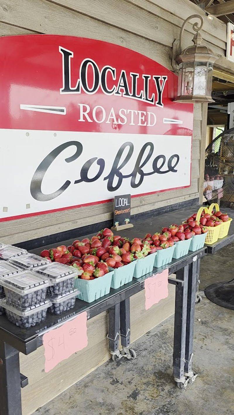 Local Farming Impact On Ingredient Freshness
