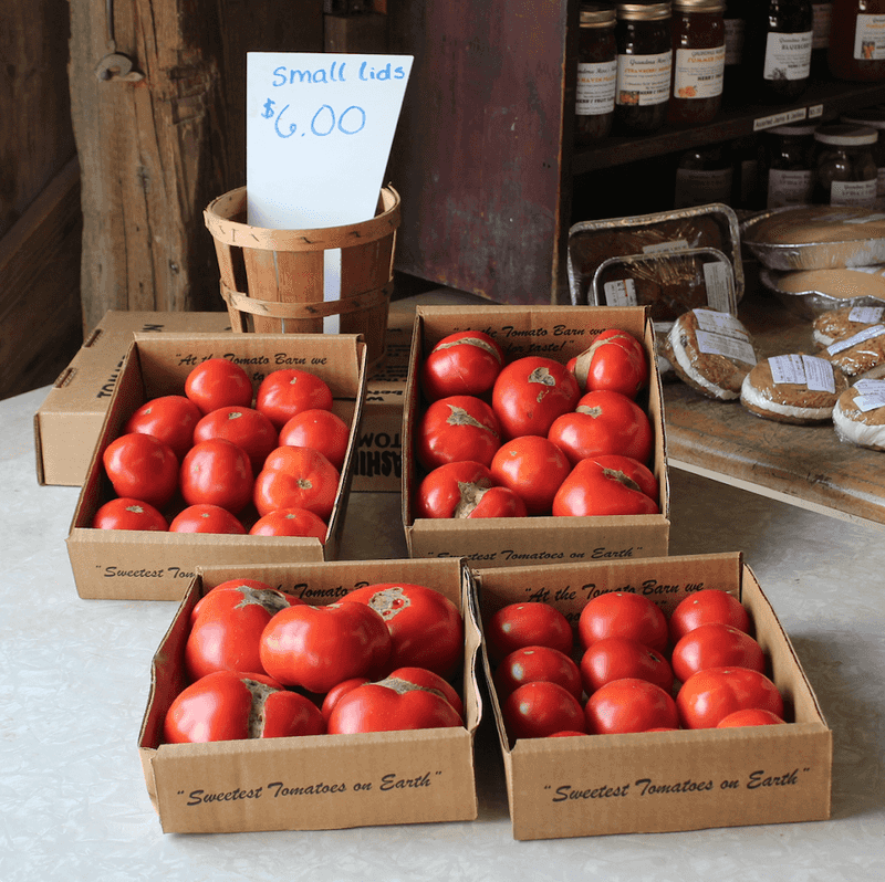 What Peak Tomato Season Actually Looks Like