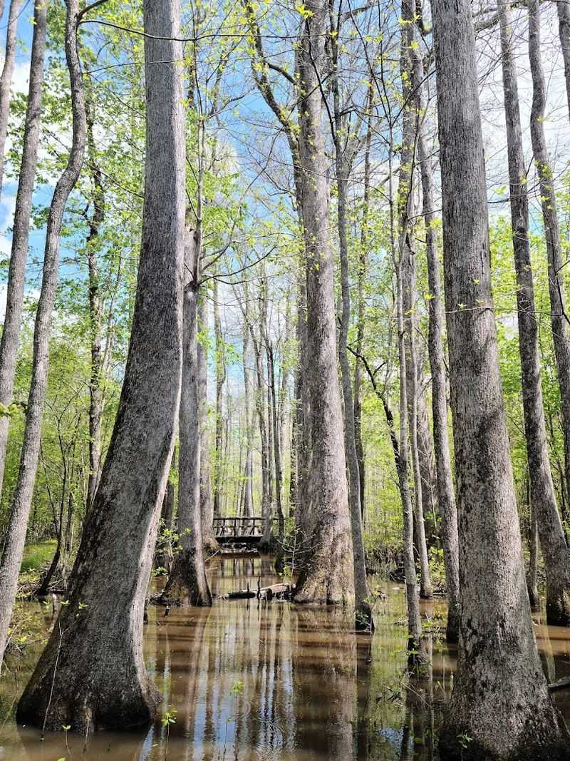 Planning Your Perfect Trace Trip