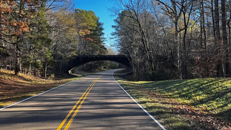 Wildlife Watching Along The Trace