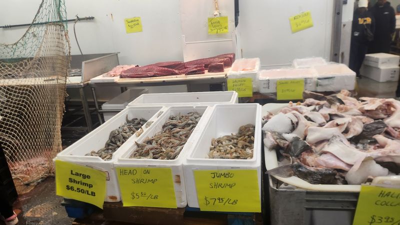 Sustainable Fishing Practices Explained