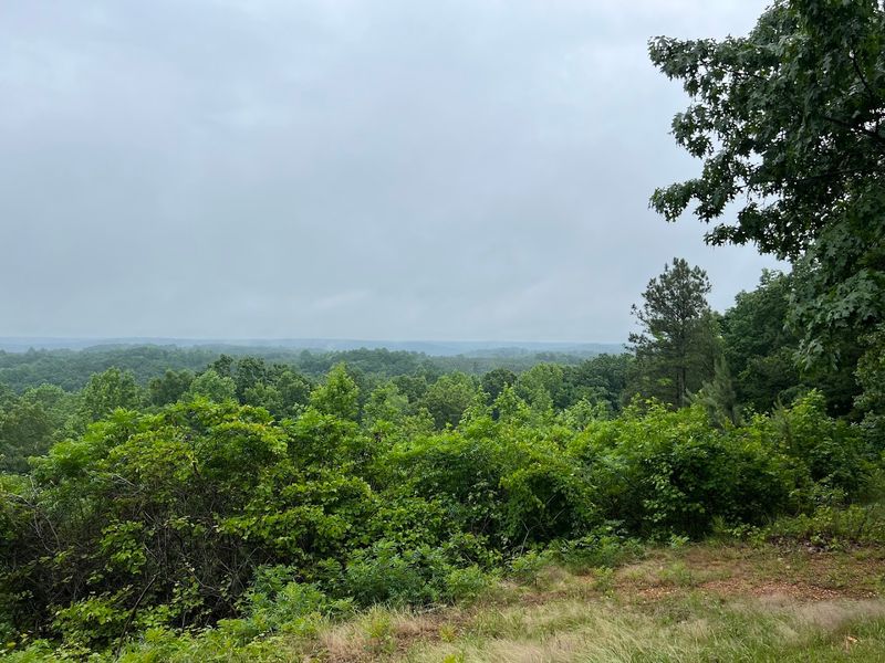 Jeff Busby Little Mountain Trail (Natchez Trace Parkway Milepost 193.1)