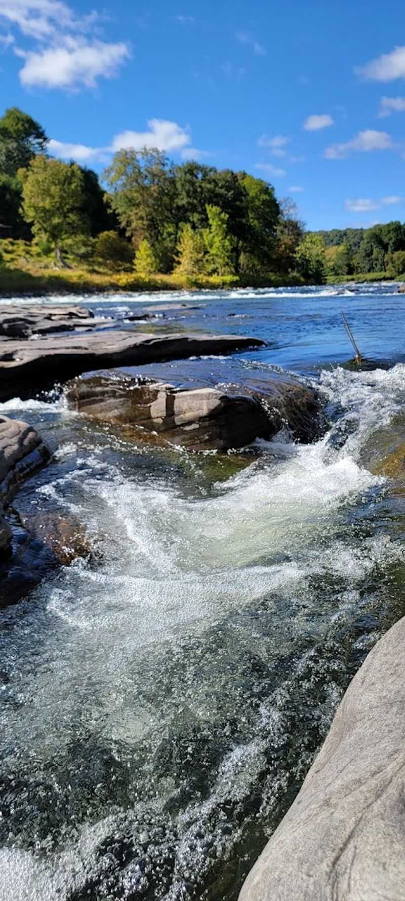 Skinner's Falls 