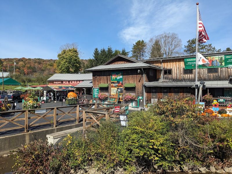Fly Creek