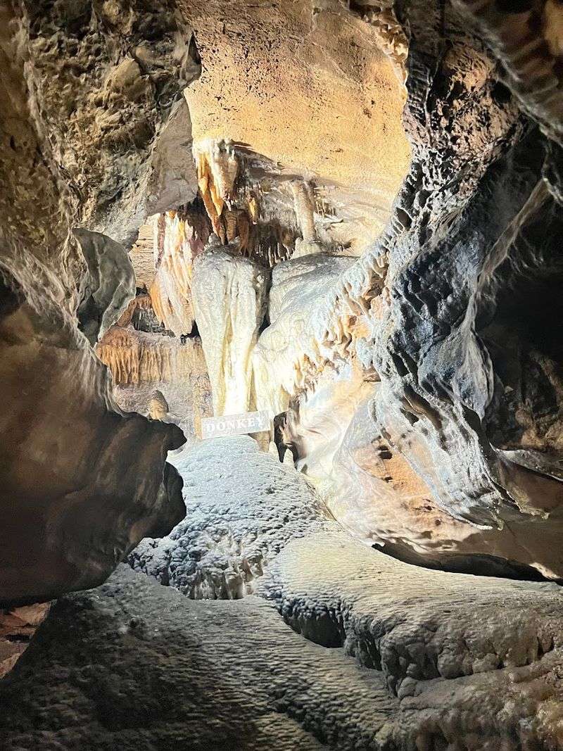 Walking Through A Living Limestone Cavern