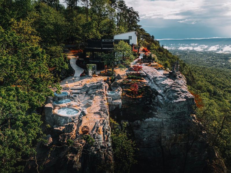 Wildlife Encounters Around Remote Stays