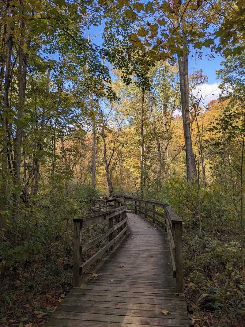 Family Friendly Attractions And Relaxing Spots