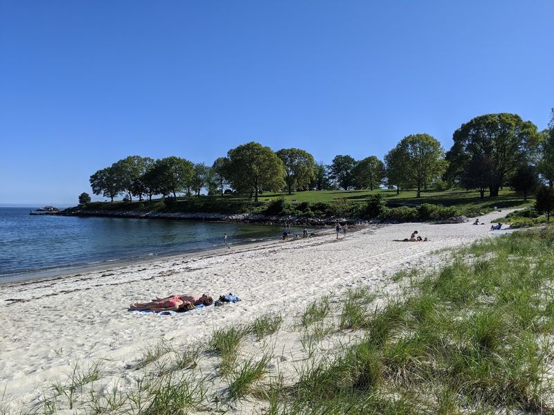 Origins And Formation Of White Sand Beaches