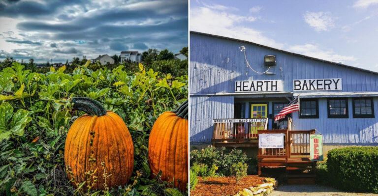 Discover The Peaceful Farm City In Missouri Where Life Feels Restorative And Easy