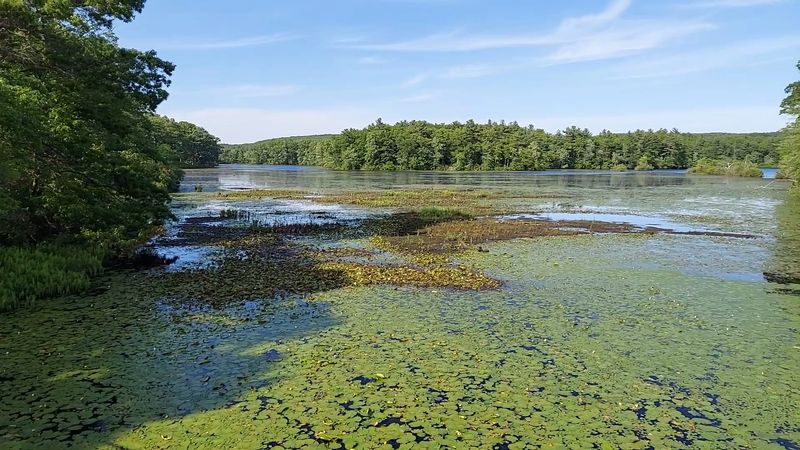 Lake Chaubunagungamaug, Webster
