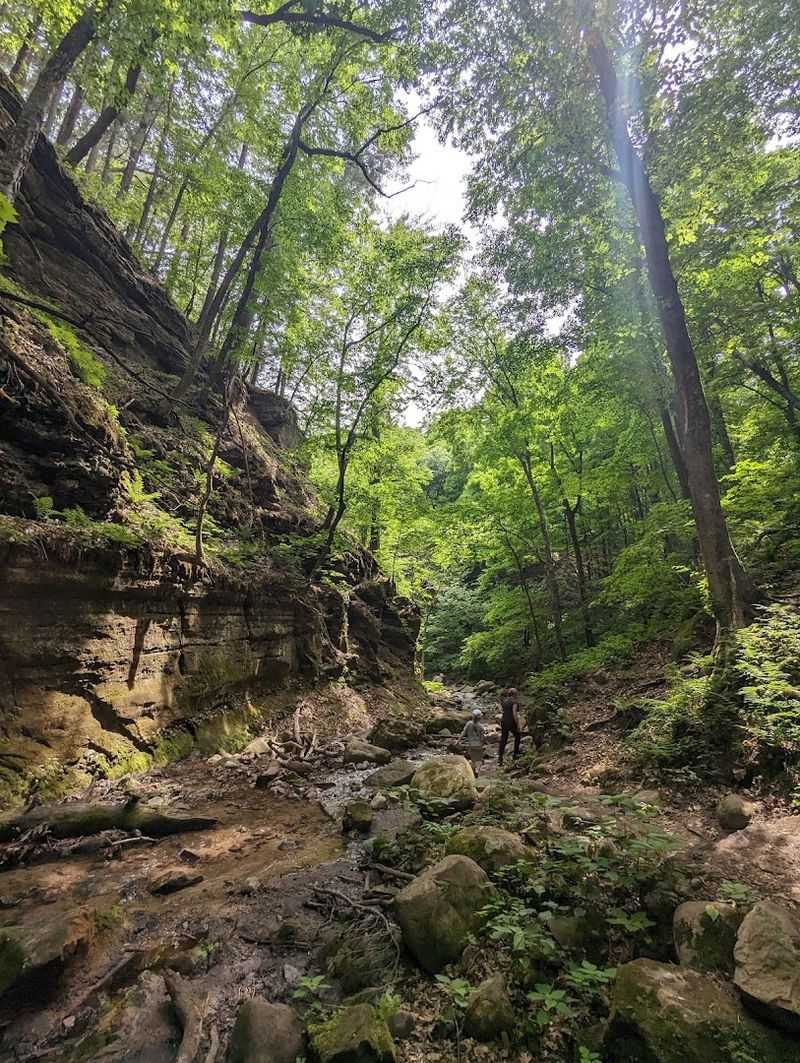 Parfrey's Glen Trail