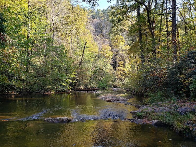 Rainbow Trout Fishing Along Paint Creek