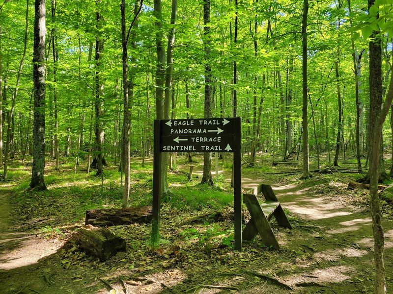 The Quiet Trails Make It Easy To Slow Down And Listen