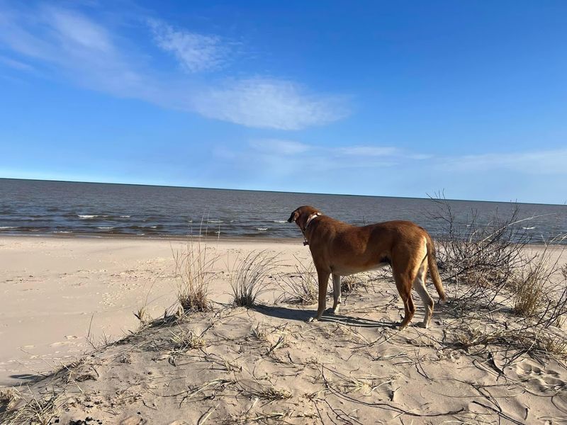 Point Beach State Forest, Two Rivers