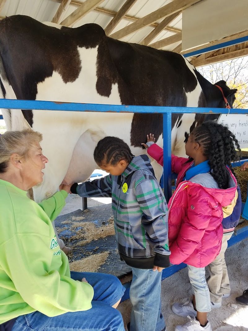 Kids Can Meet Farm Animals Up Close Instead Of Just Looking