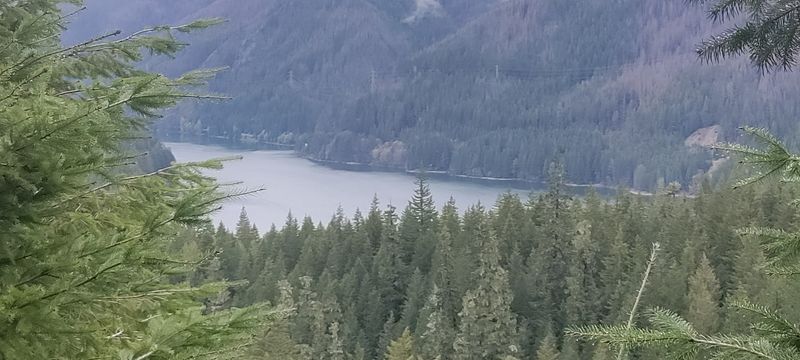 Environmental Preservation Efforts