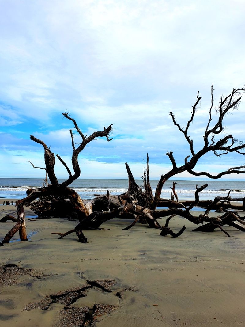 Hunting Island