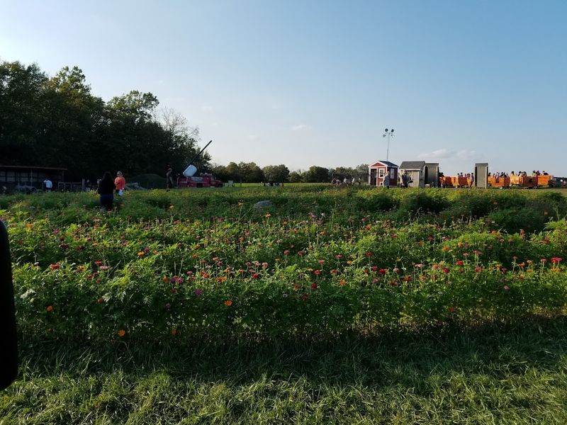 More Than Just A Maze
