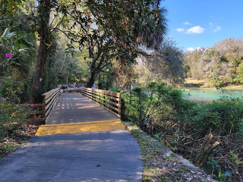 Conservation Efforts And Environmental Care