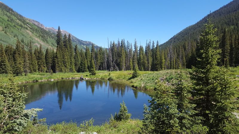 Sustainable Practices For Preserving Natural