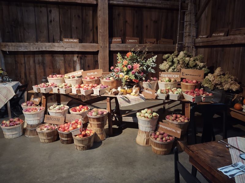 Seventy Apple Varieties And Counting