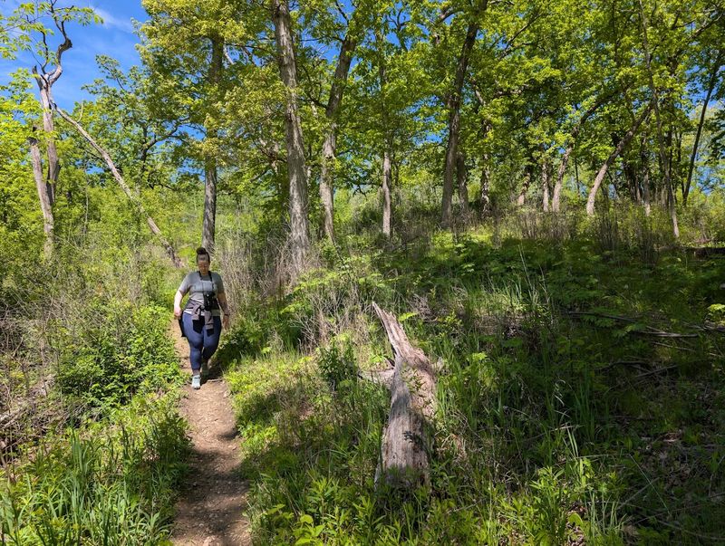 The Short Walk Makes The Rare Habitat Easy To Experience