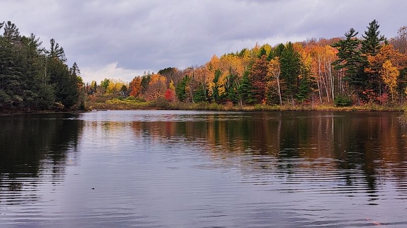 The Park Has Picnic Areas, A Beach, And Fishing Access