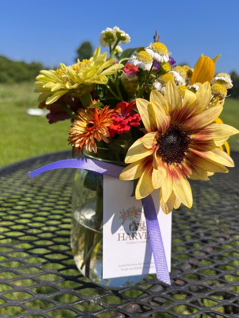 The Flower CSA That Brings The Farm To Your Door