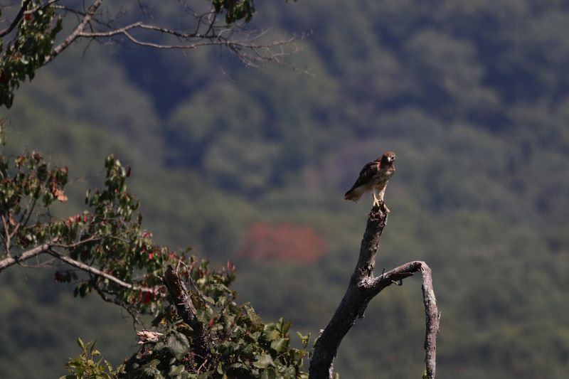 Planning Your Visit To The Overlook