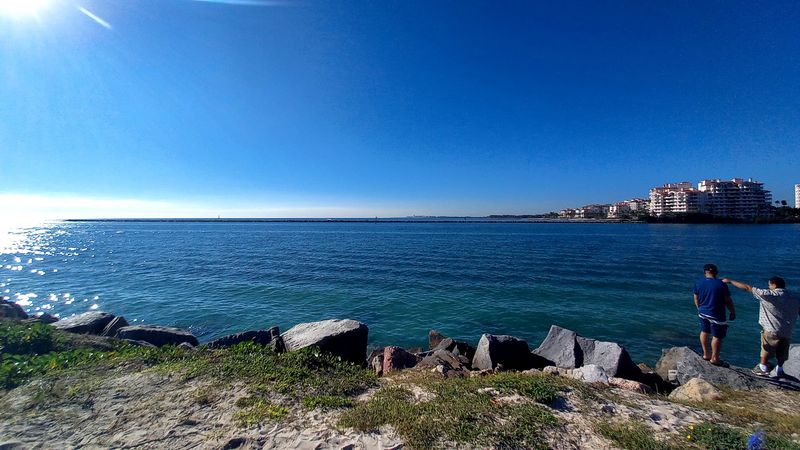 Local Wildlife And Marine Life Encounters