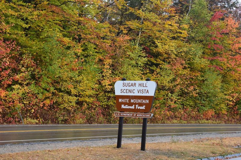 Hidden Nature Trails And Scenic Spots