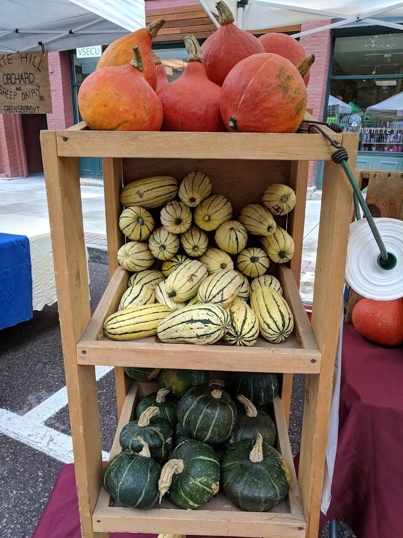 Sustainable Practices And Eco Friendly Vendors