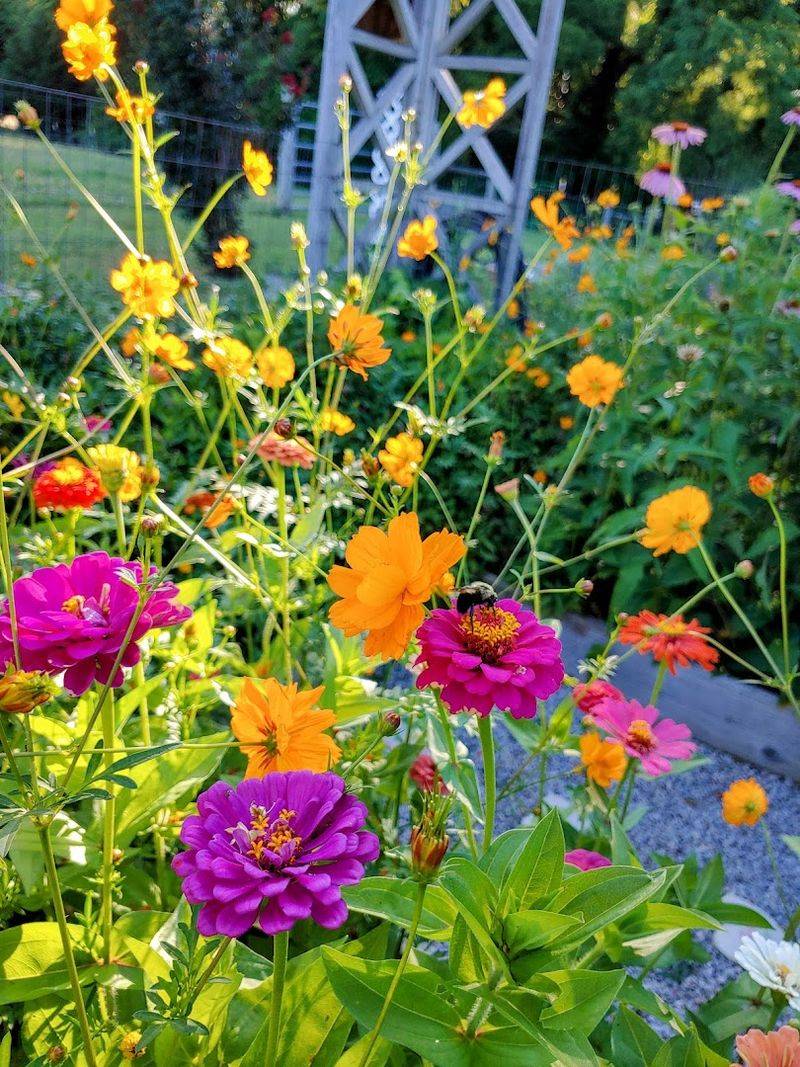 Loofahs, Herbs, And Wildflowers Worth Discovering